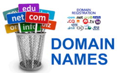 Domain booking and Hosting
